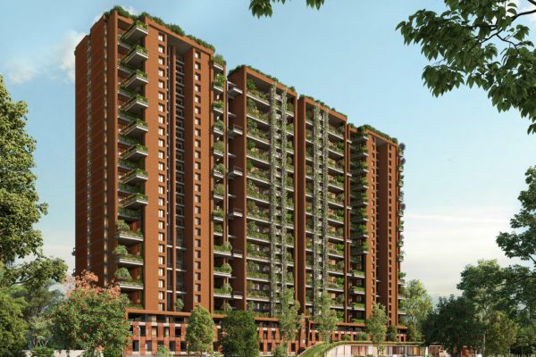 Songs from the Woods - Banner Image1