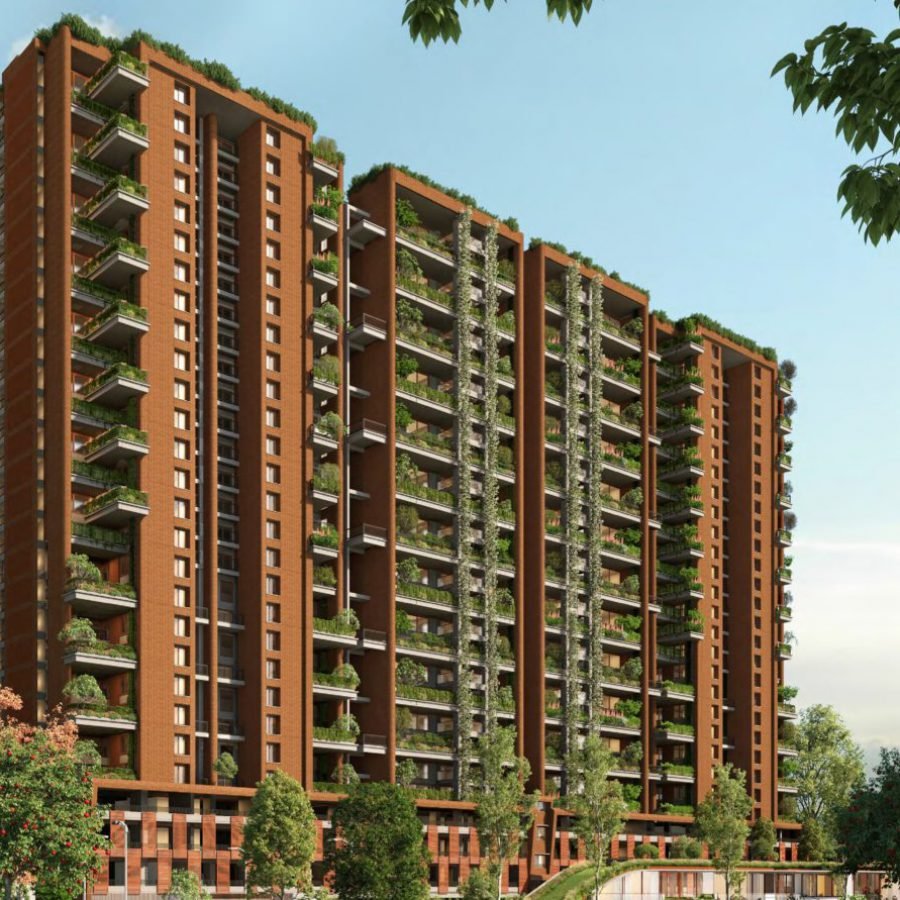 Songs from the Woods - Banner Image1