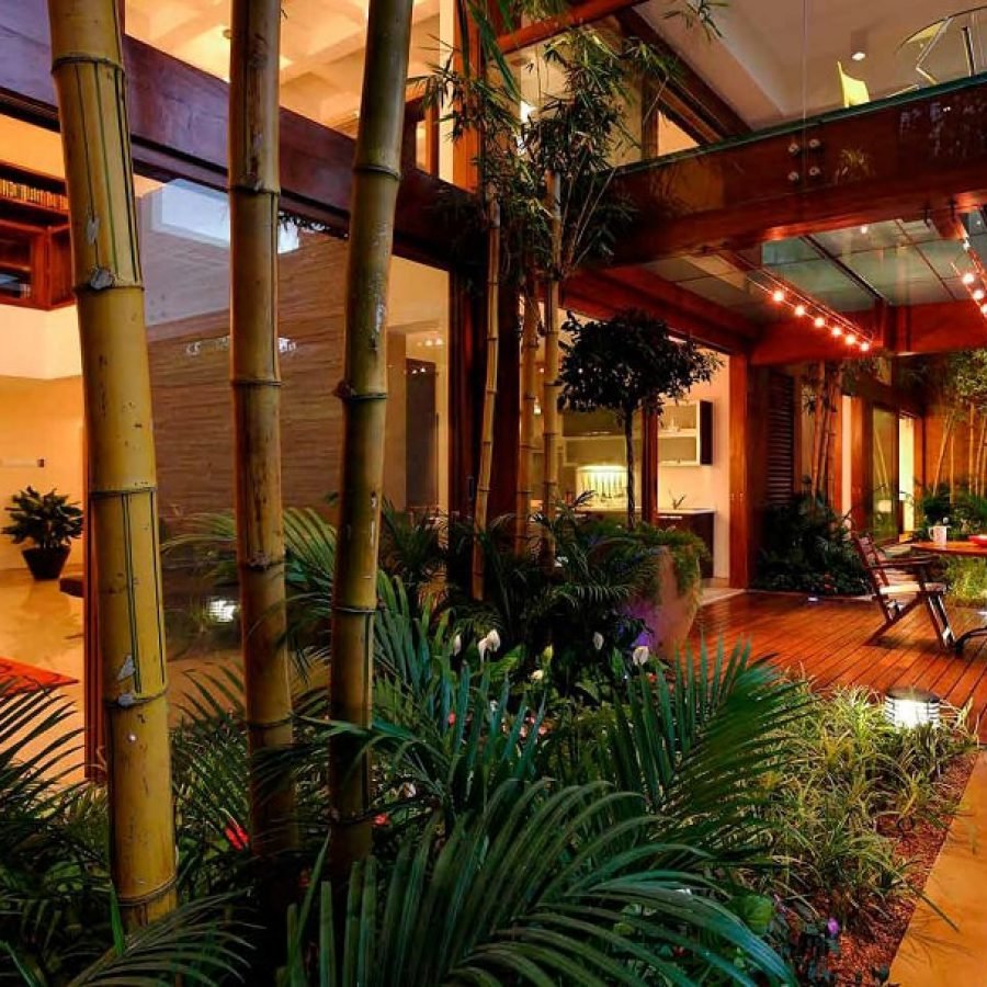 Songs from the woods