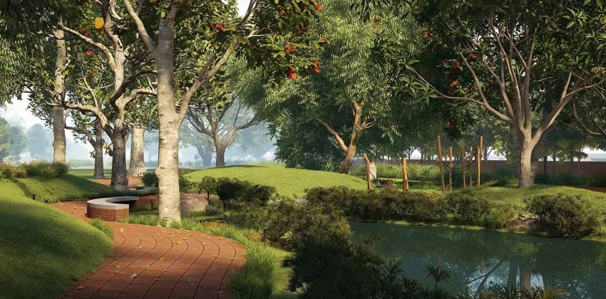 Tangled up in Green Photos