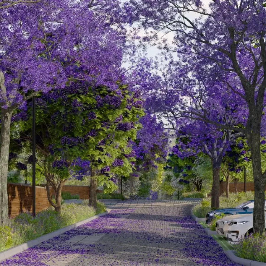 Violet Hill Alibaug